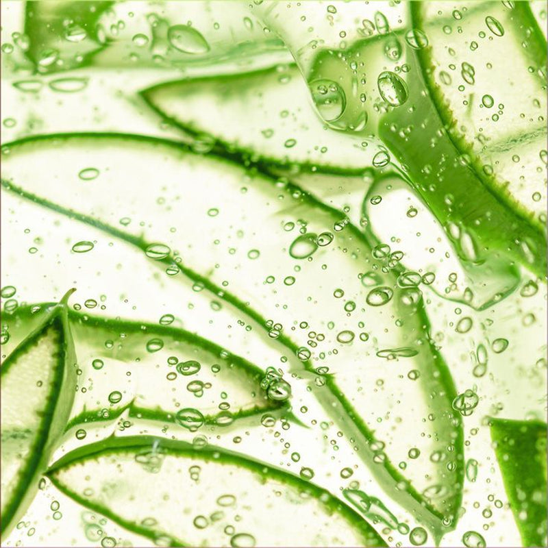 Ghee Kawar / Aloe Vera