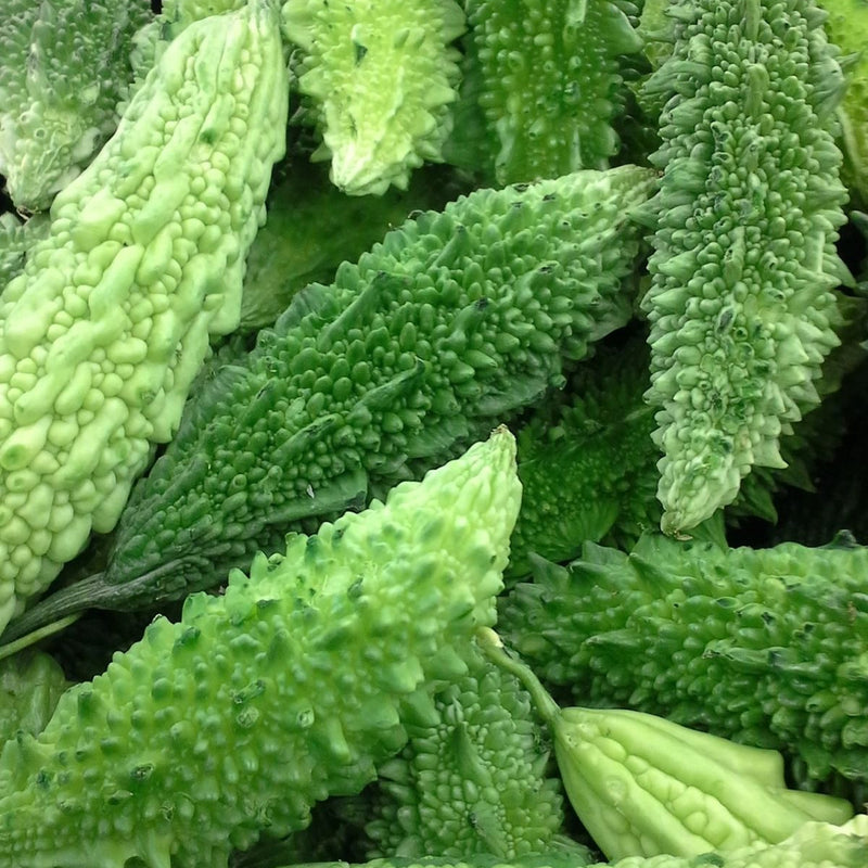 Karela (Momordica charantia)