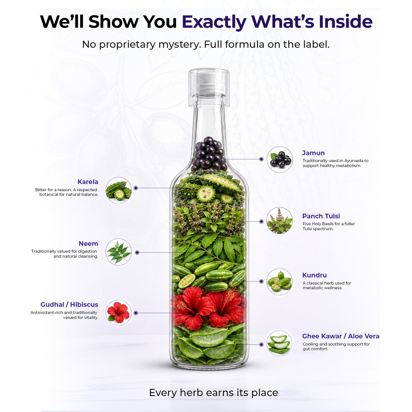 Glucosync- The Natural Glucose Support System